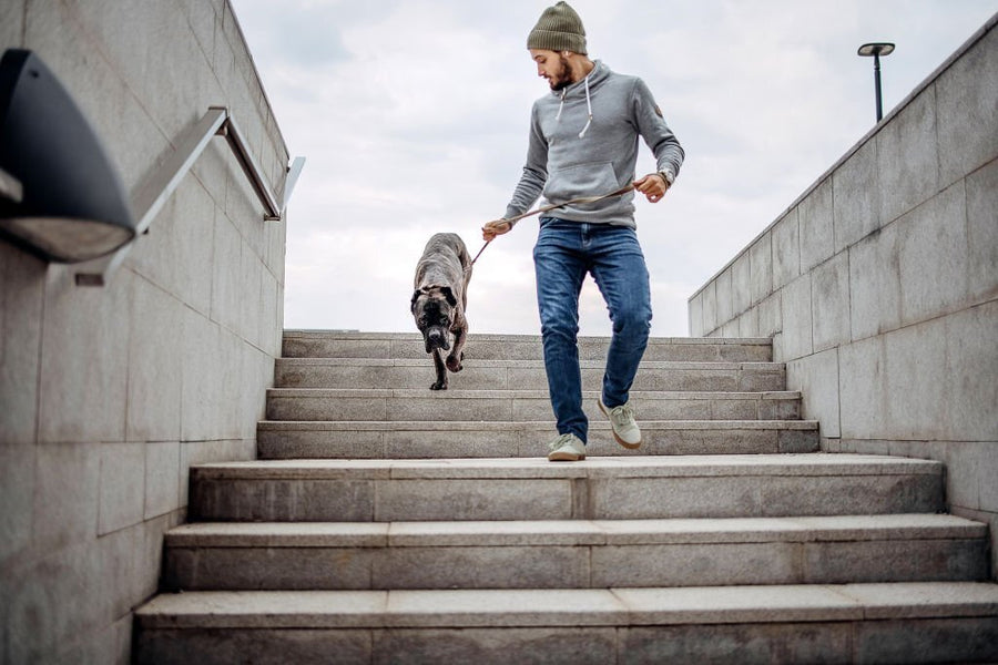 Best Pants Fit for Short Legs