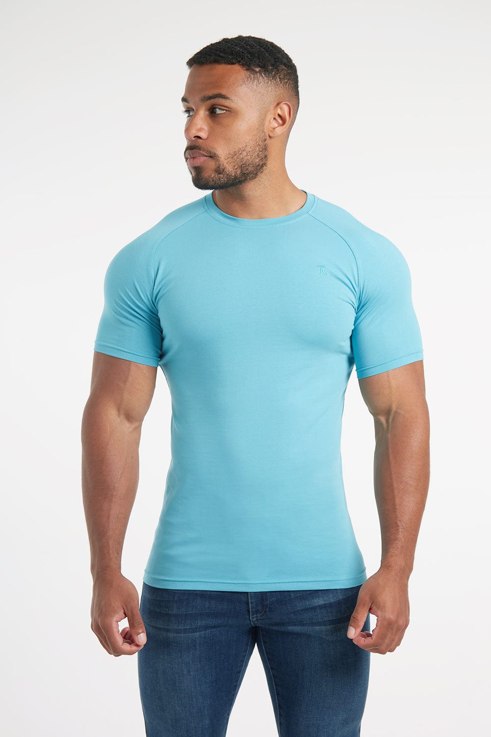 Atletic Fit Athletic Fit T-Shirts - Tailored Athlete - TAILORED ATHLETE - USA