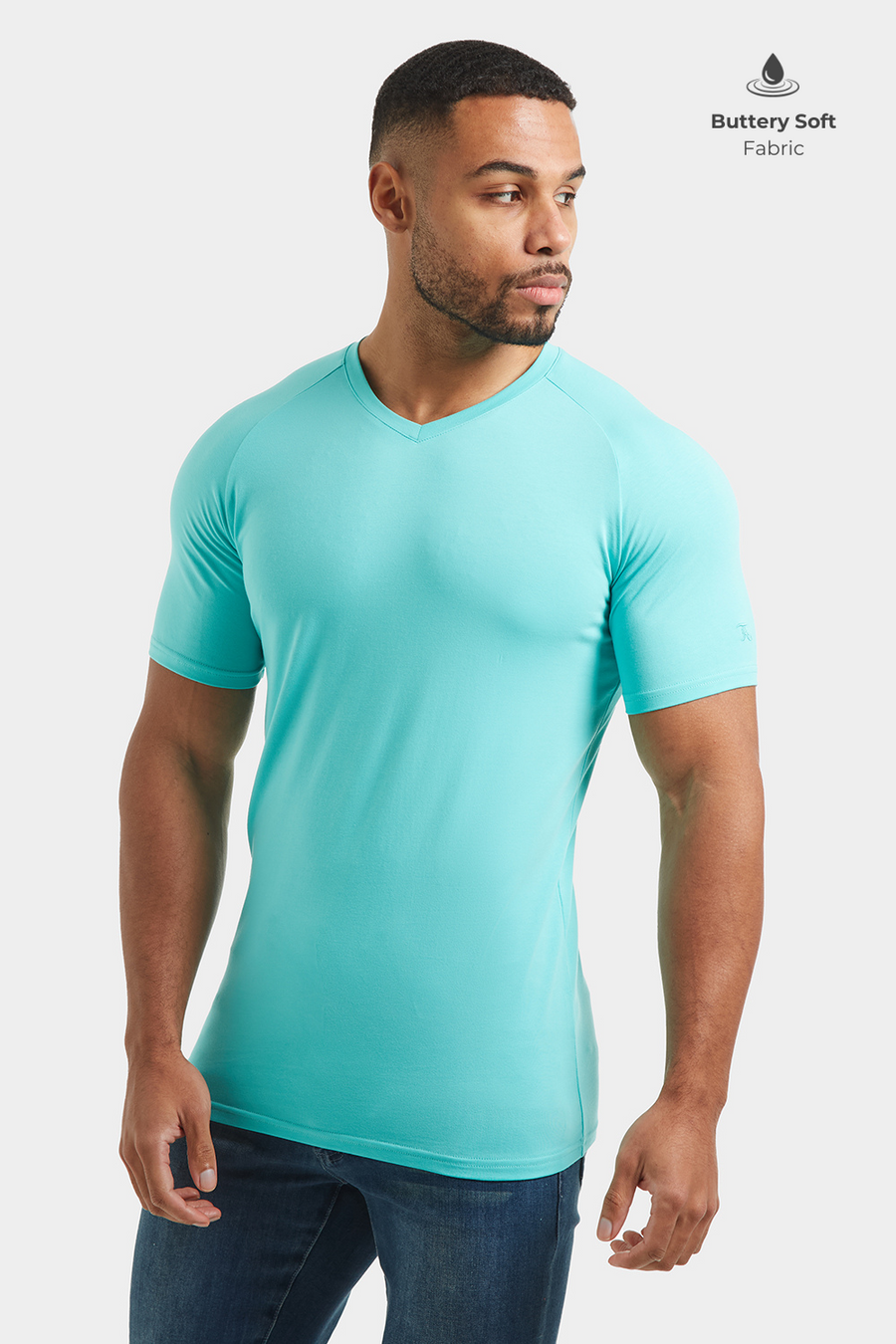 Premium Athletic Fit V-Neck in Spearmint - TAILORED ATHLETE - USA