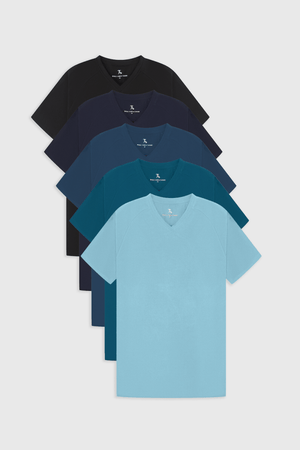 Athletic Fit All Rounder V-Neck 5-Pack - TAILORED ATHLETE - USA