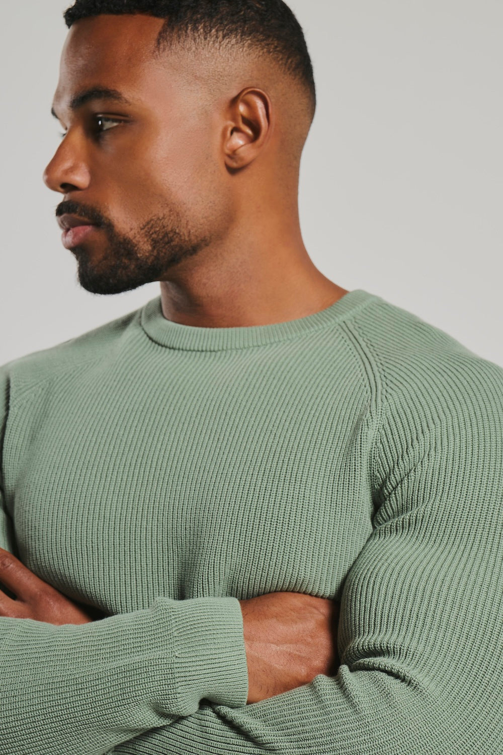 Pure Cotton Knitted Textured Crew Neck Sweater in Sage