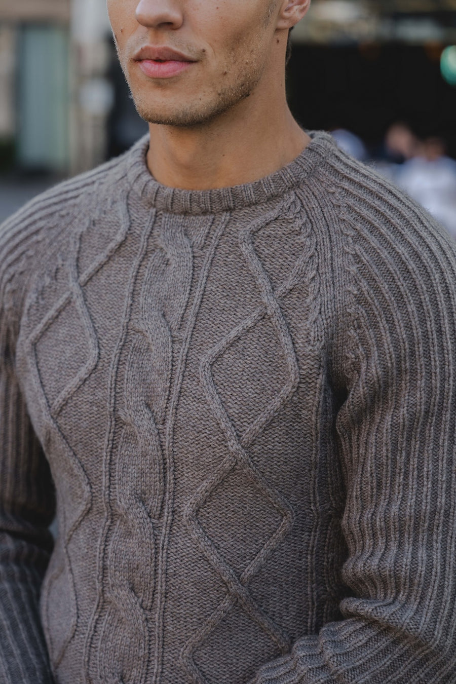 Wool Blend Chunky Cable Crew Neck in Dark Oatmeal - TAILORED ATHLETE - USA