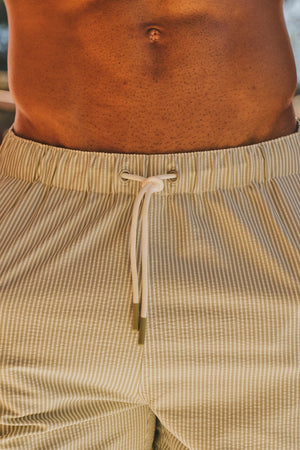 Quick Dry Seersucker Stripe Swim Shorts in Soft Sage and White - TAILORED ATHLETE - USA