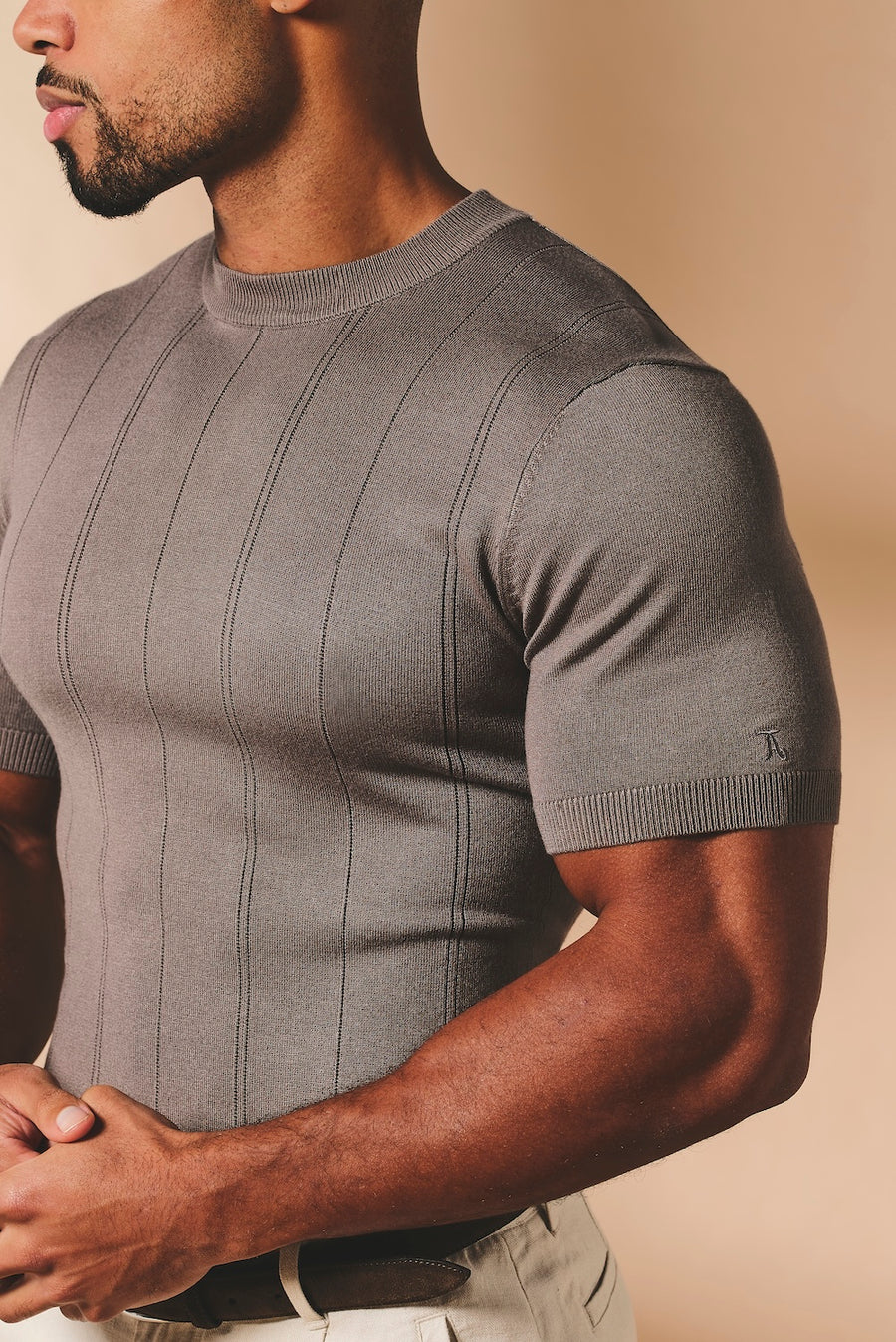 Vertical Stripe Knitted T-Shirt in Taupe - TAILORED ATHLETE - USA