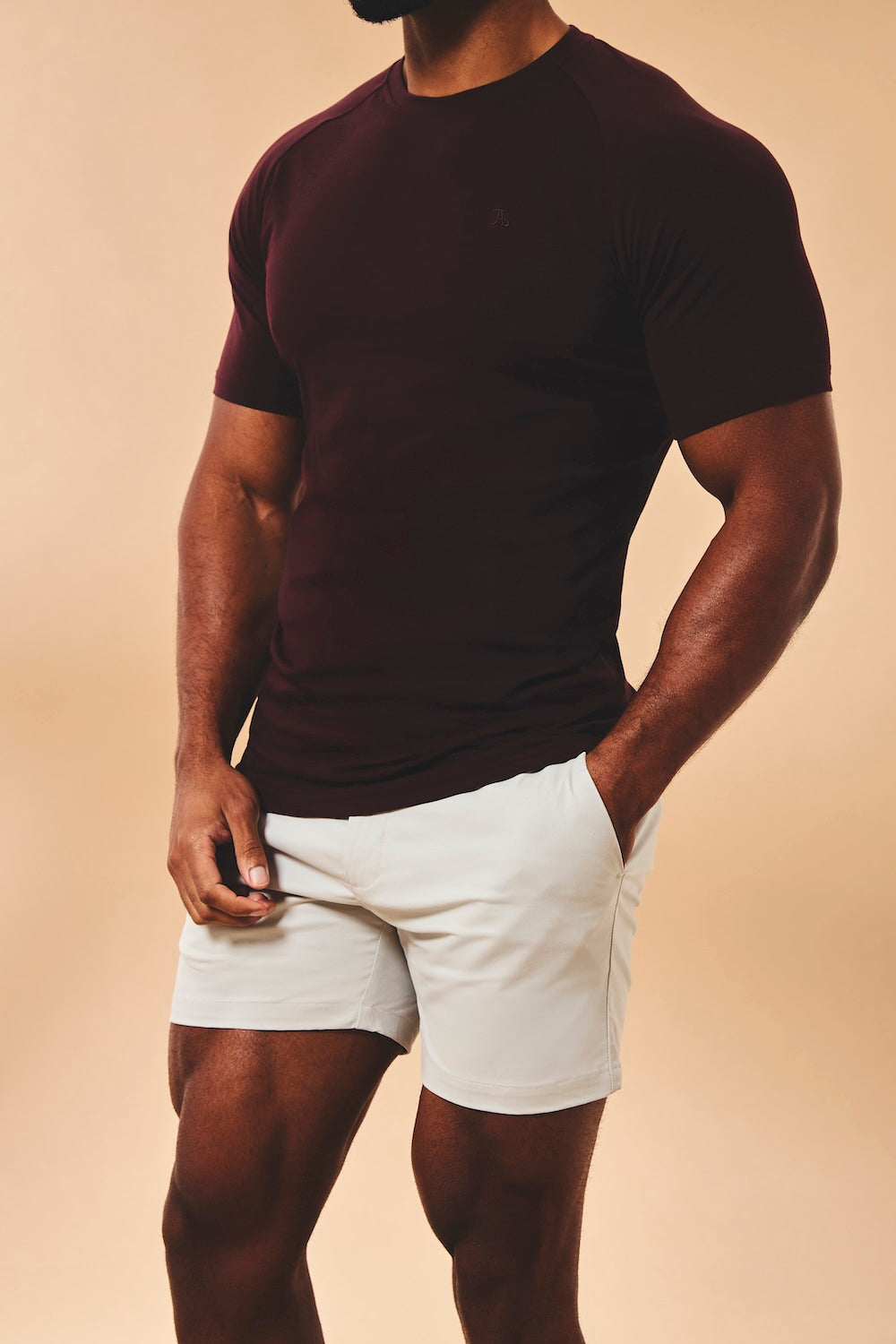 Athletic Fit Stretch Chino Shorts 5" in Dove Grey