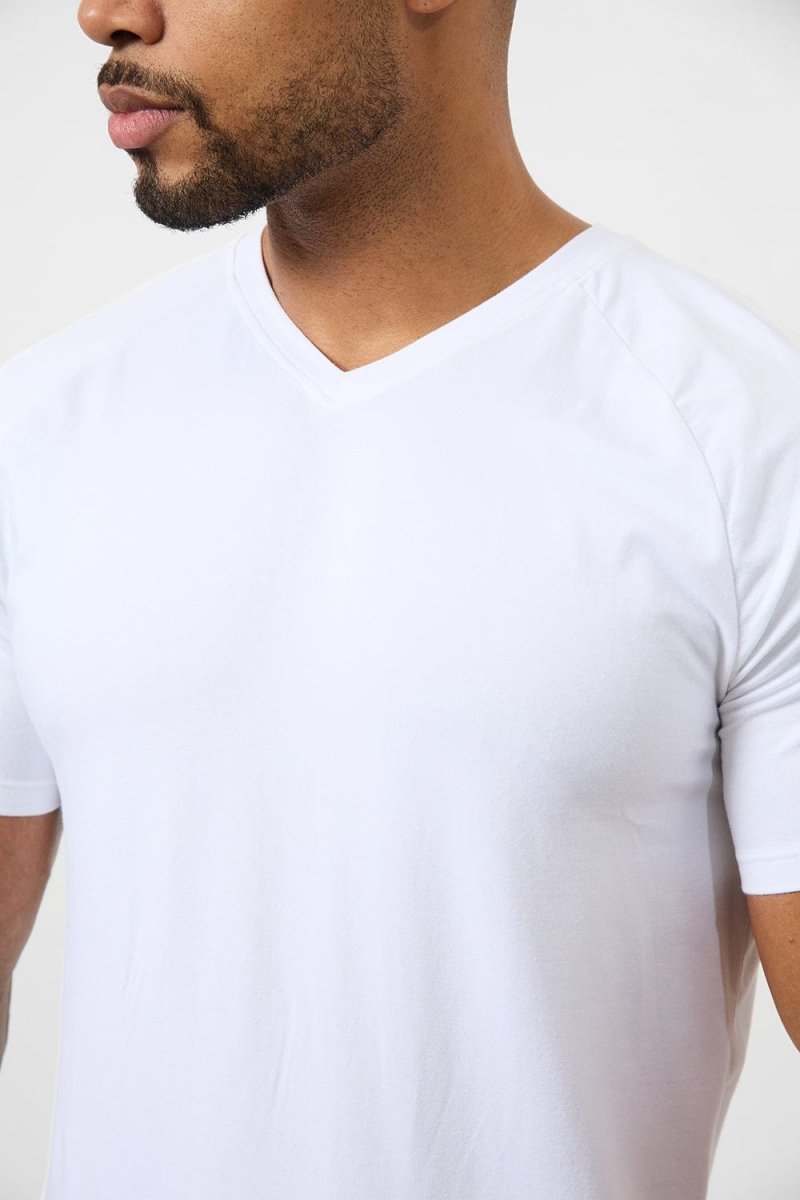 athletic-fit-favourites-v-neck-3-pack
